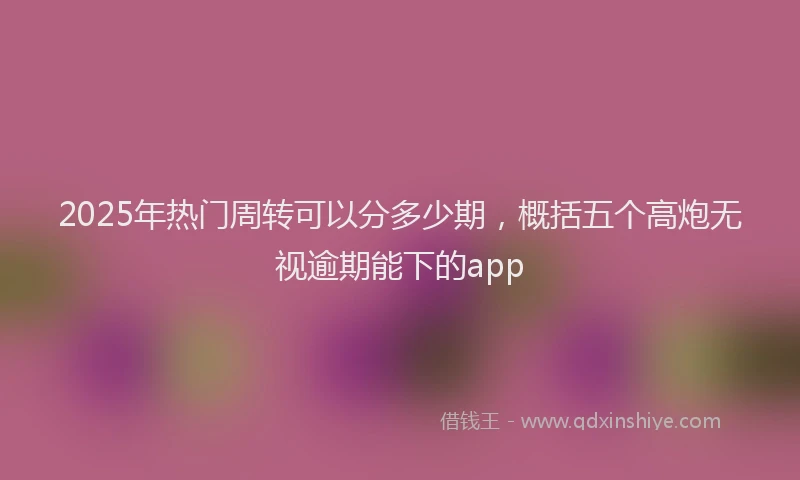 2025年热门周转可以分多少期，概括五个高炮无视逾期能下的app