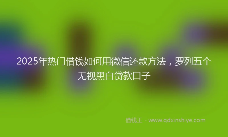 2025年热门借钱如何用微信还款方法，罗列五个无视黑白贷款口子