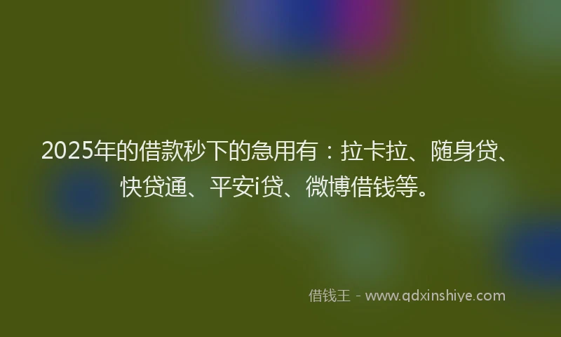 2025年的借款秒下的急用有：拉卡拉、随身贷、快贷通、平安i贷、微博借钱等。