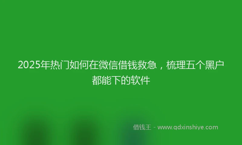 2025年热门如何在微信借钱救急，梳理五个黑户都能下的软件
