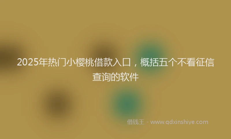 2025年热门小樱桃借款入口，概括五个不看征信查询的软件