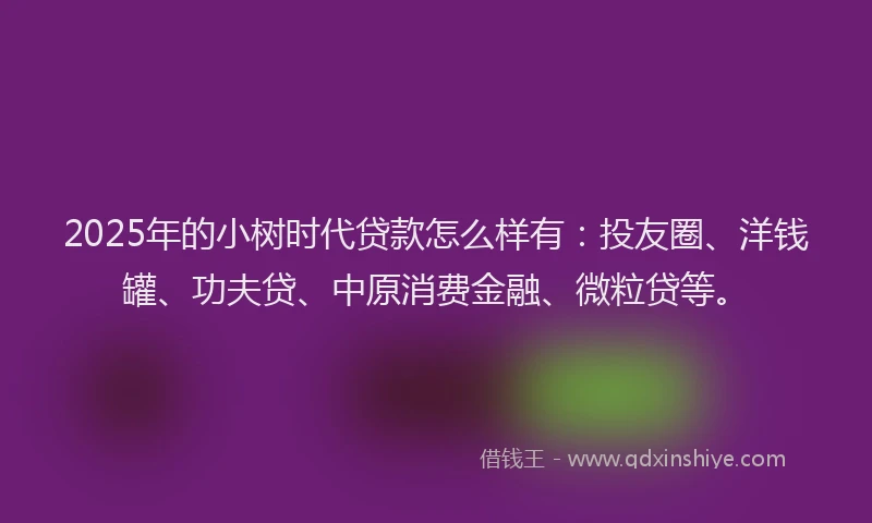 2025年的小树时代贷款怎么样有：投友圈、洋钱罐、功夫贷、中原消费金融、微粒贷等。