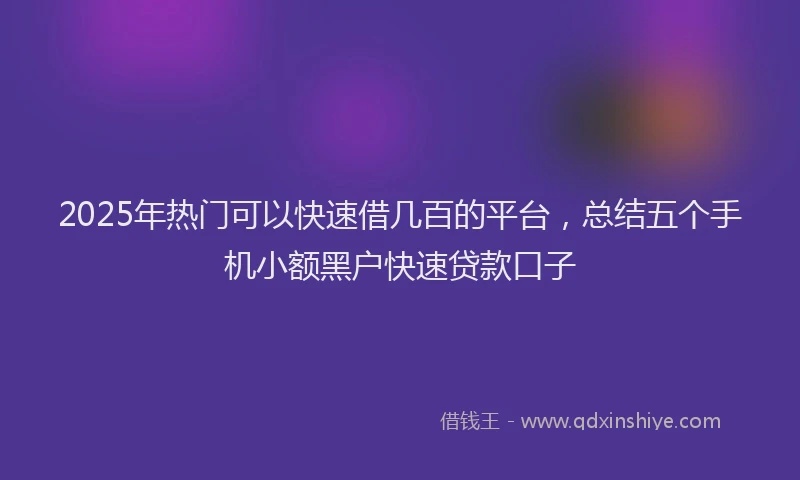 2025年热门可以快速借几百的平台，总结五个手机小额黑户快速贷款口子