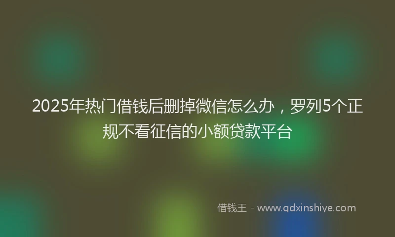 2025年热门借钱后删掉微信怎么办，罗列5个正规不看征信的小额贷款平台