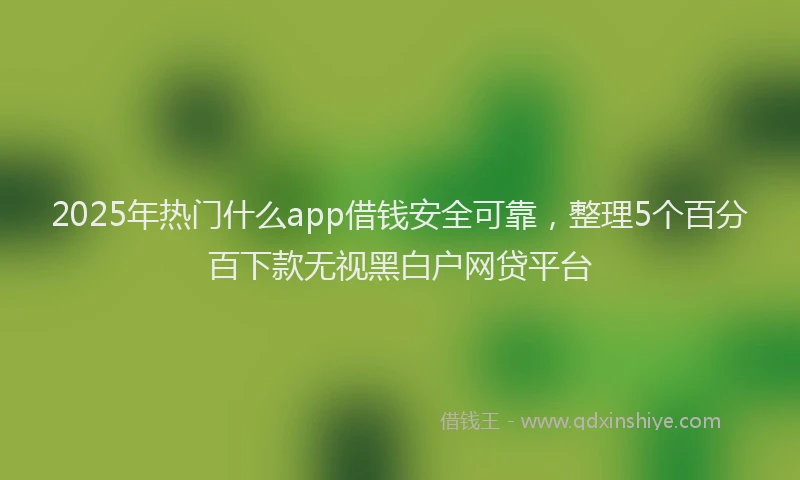 2025年热门什么app借钱安全可靠，整理5个百分百下款无视黑白户网贷平台