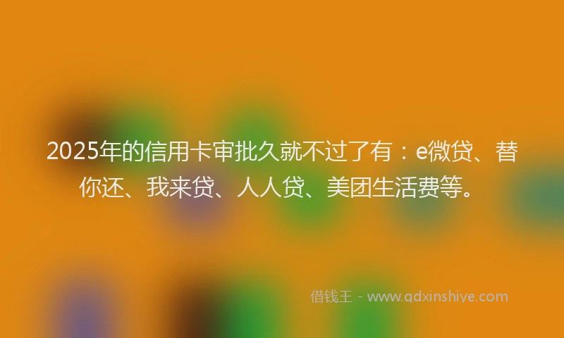 2025年的信用卡审批久就不过了有：e微贷、替你还、我来贷、人人贷、美团生活费等。