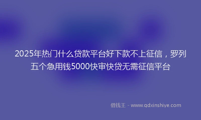 2025年热门什么贷款平台好下款不上征信，罗列五个急用钱5000快审快贷无需征信平台