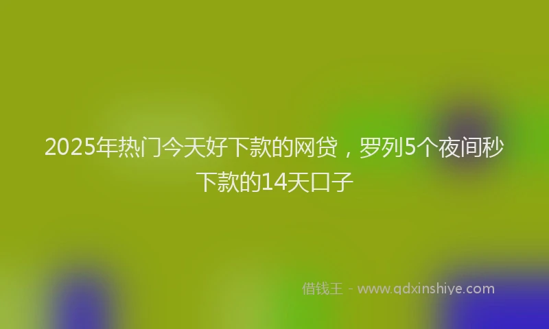 2025年热门今天好下款的网贷，罗列5个夜间秒下款的14天口子