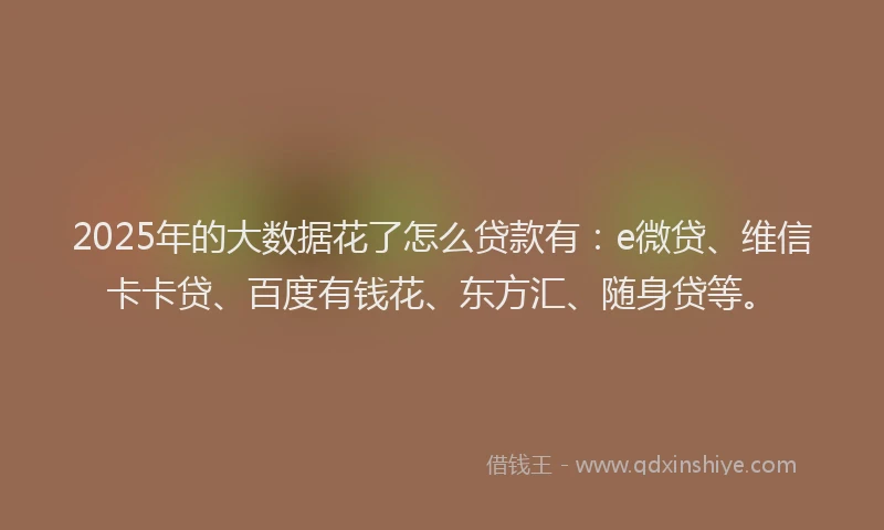 2025年的大数据花了怎么贷款有：e微贷、维信卡卡贷、百度有钱花、东方汇、随身贷等。