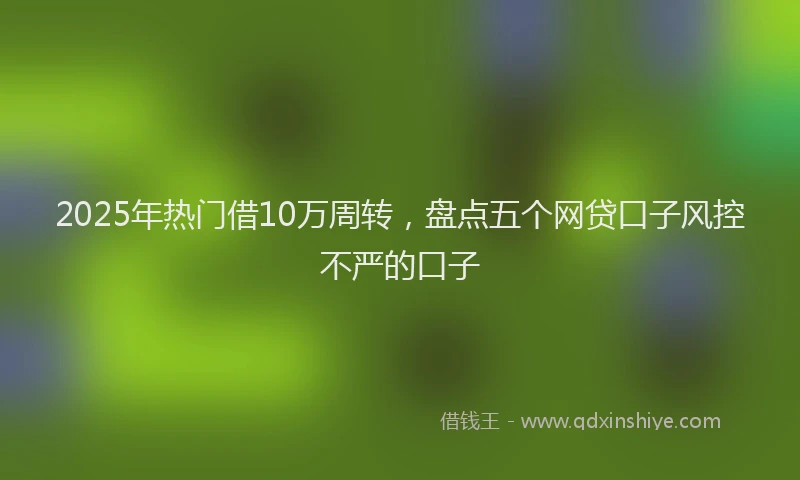 2025年热门借10万周转，盘点五个网贷口子风控不严的口子