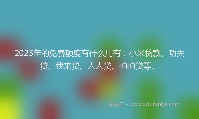 2025年的免费额度有什么用有：小米贷款、功夫贷、我来贷、人人贷、拍拍贷等。