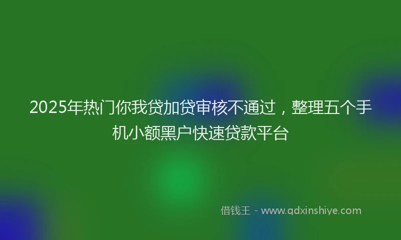 2025年热门你我贷加贷审核不通过，整理五个手机小额黑户快速贷款平台