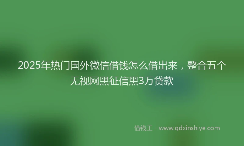 2025年热门国外微信借钱怎么借出来，整合五个无视网黑征信黑3万贷款