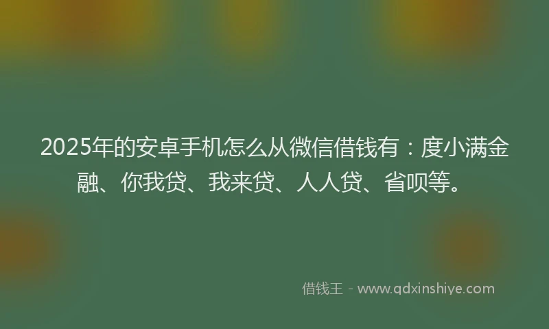 2025年的安卓手机怎么从微信借钱有：度小满金融、你我贷、我来贷、人人贷、省呗等。