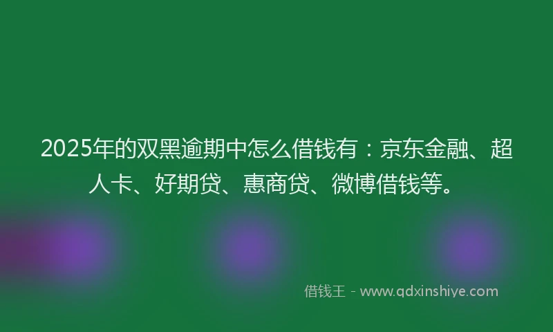2025年的双黑逾期中怎么借钱有：京东金融、超人卡、好期贷、惠商贷、微博借钱等。