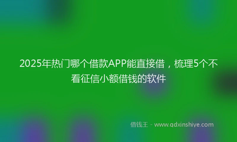 2025年热门哪个借款APP能直接借，梳理5个不看征信小额借钱的软件
