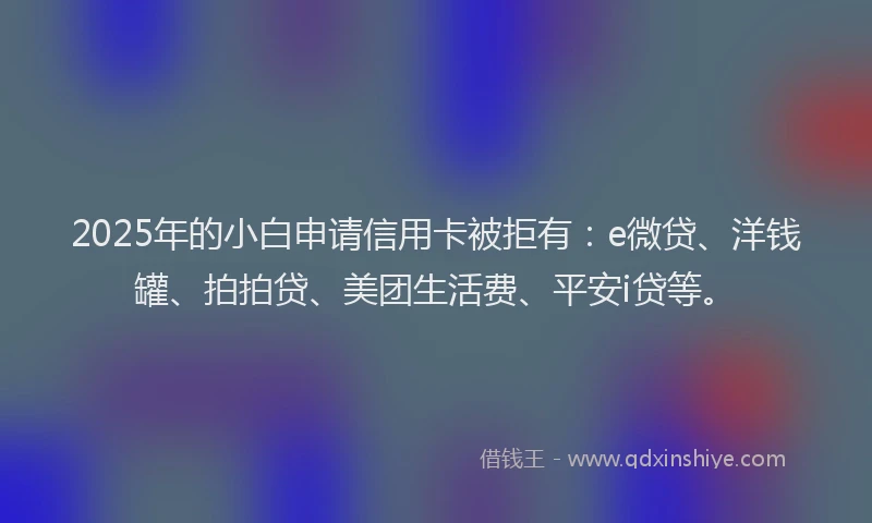 2025年的小白申请信用卡被拒有：e微贷、洋钱罐、拍拍贷、美团生活费、平安i贷等。