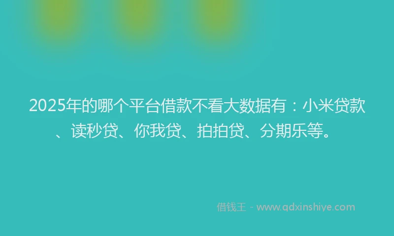 2025年的哪个平台借款不看大数据有：小米贷款、读秒贷、你我贷、拍拍贷、分期乐等。