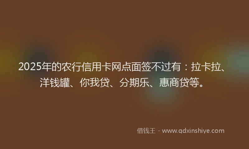 2025年的农行信用卡网点面签不过有：拉卡拉、洋钱罐、你我贷、分期乐、惠商贷等。