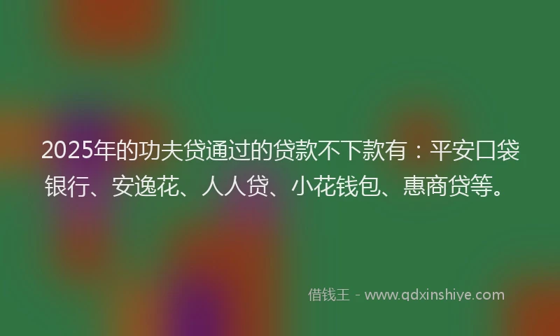 2025年的功夫贷通过的贷款不下款有：平安口袋银行、安逸花、人人贷、小花钱包、惠商贷等。