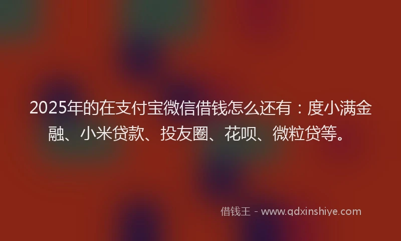2025年的在支付宝微信借钱怎么还有：度小满金融、小米贷款、投友圈、花呗、微粒贷等。