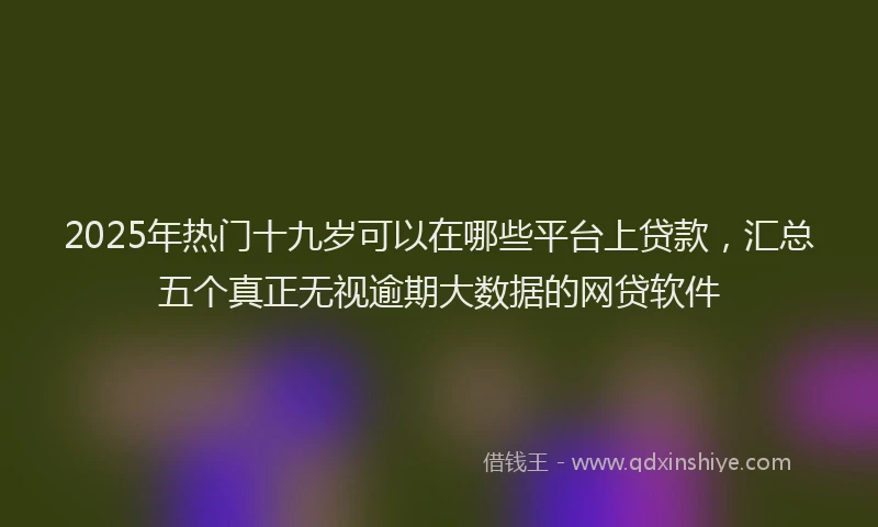 2025年热门十九岁可以在哪些平台上贷款，汇总五个真正无视逾期大数据的网贷软件