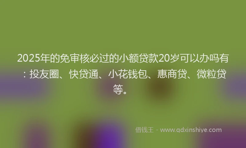 2025年的免审核必过的小额贷款20岁可以办吗有：投友圈、快贷通、小花钱包、惠商贷、微粒贷等。