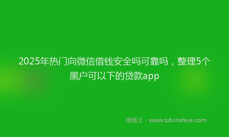 2025年热门向微信借钱安全吗可靠吗，整理5个黑户可以下的贷款app