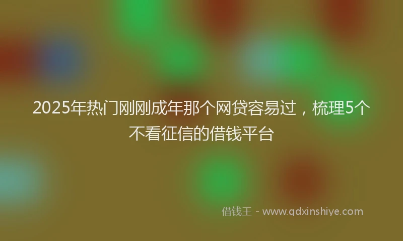 2025年热门刚刚成年那个网贷容易过，梳理5个不看征信的借钱平台