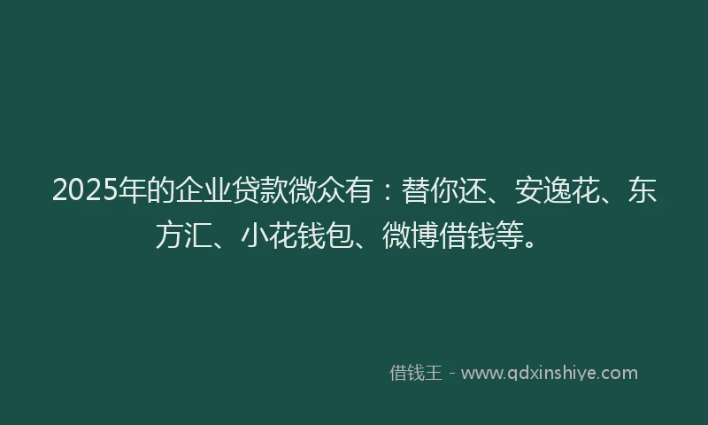 2025年的企业贷款微众有：替你还、安逸花、东方汇、小花钱包、微博借钱等。
