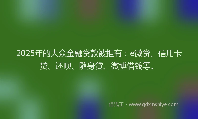 2025年的大众金融贷款被拒有：e微贷、信用卡贷、还呗、随身贷、微博借钱等。