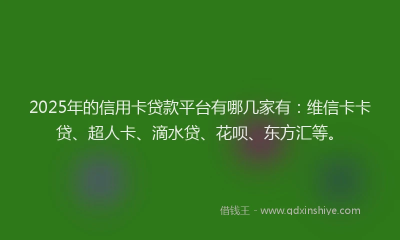 2025年的信用卡贷款平台有哪几家有：维信卡卡贷、超人卡、滴水贷、花呗、东方汇等。