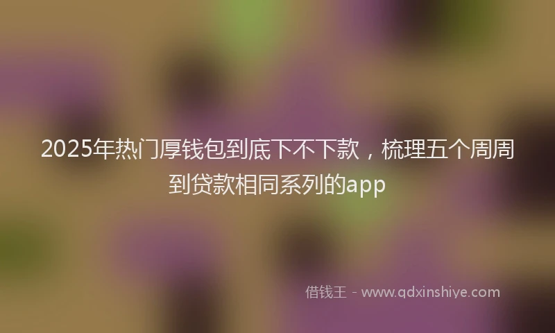 2025年热门厚钱包到底下不下款，梳理五个周周到贷款相同系列的app