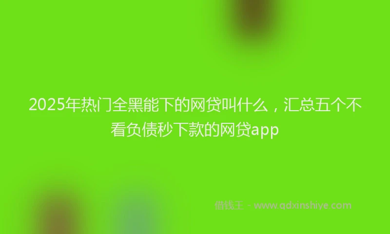 2025年热门全黑能下的网贷叫什么，汇总五个不看负债秒下款的网贷app