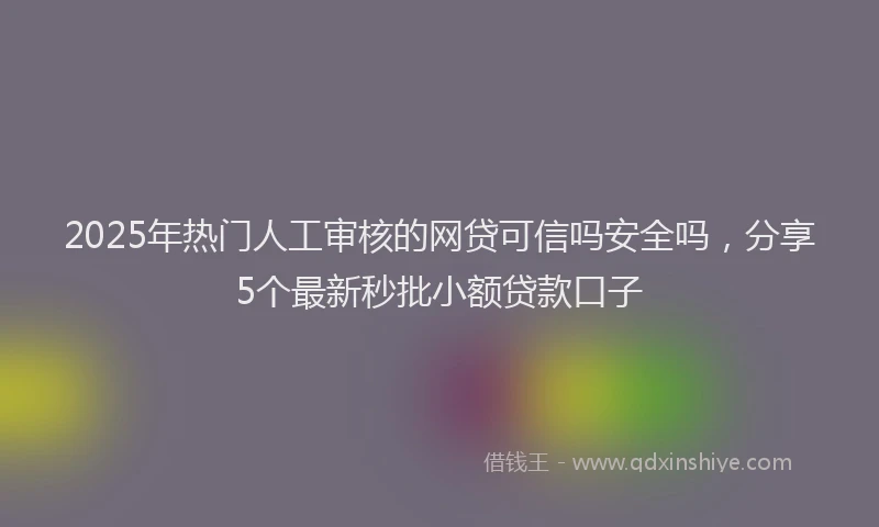 2025年热门人工审核的网贷可信吗安全吗，分享5个最新秒批小额贷款口子