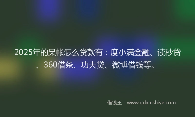 2025年的呆帐怎么贷款有：度小满金融、读秒贷、360借条、功夫贷、微博借钱等。