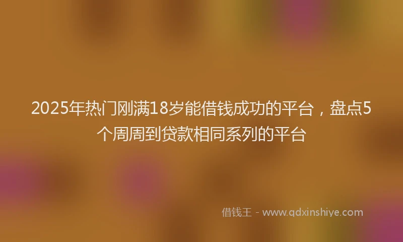 2025年热门刚满18岁能借钱成功的平台，盘点5个周周到贷款相同系列的平台