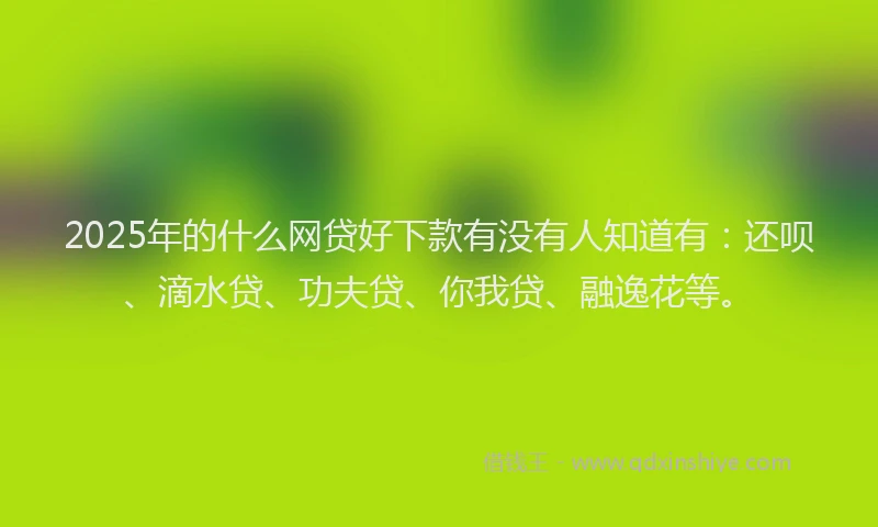 2025年的什么网贷好下款有没有人知道有：还呗、滴水贷、功夫贷、你我贷、融逸花等。