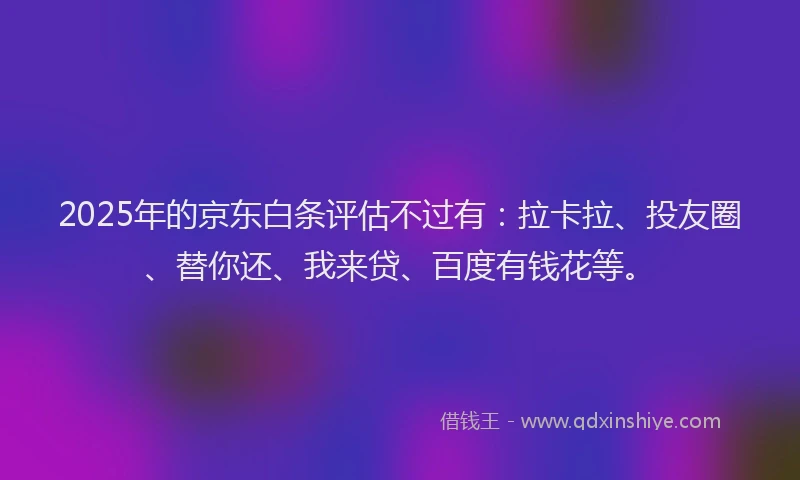 2025年的京东白条评估不过有：拉卡拉、投友圈、替你还、我来贷、百度有钱花等。