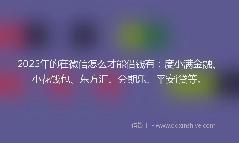 2025年的在微信怎么才能借钱有：度小满金融、小花钱包、东方汇、分期乐、平安i贷等。