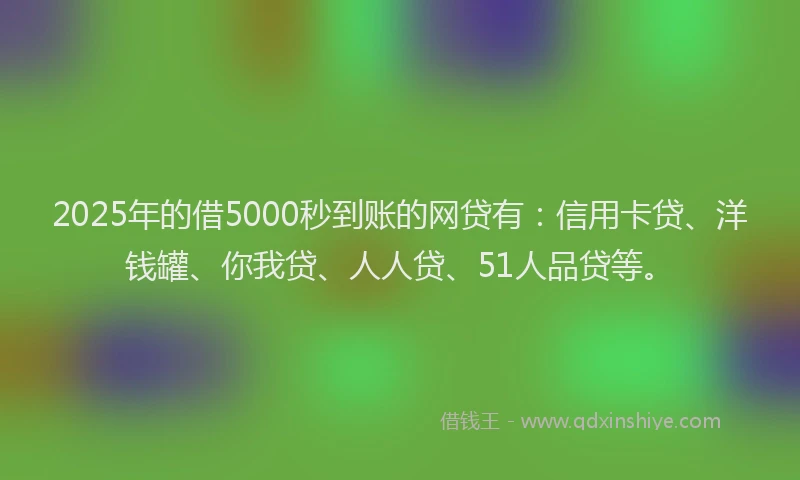 2025年的借5000秒到账的网贷有：信用卡贷、洋钱罐、你我贷、人人贷、51人品贷等。