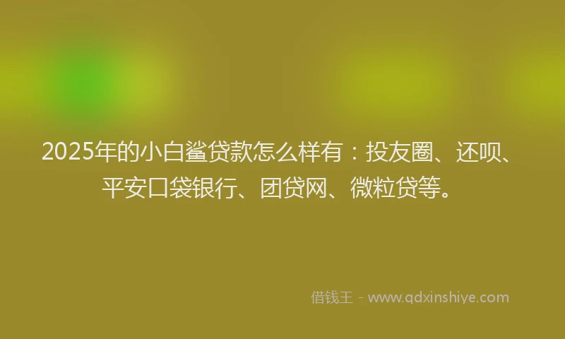 2025年的小白鲨贷款怎么样有：投友圈、还呗、平安口袋银行、团贷网、微粒贷等。