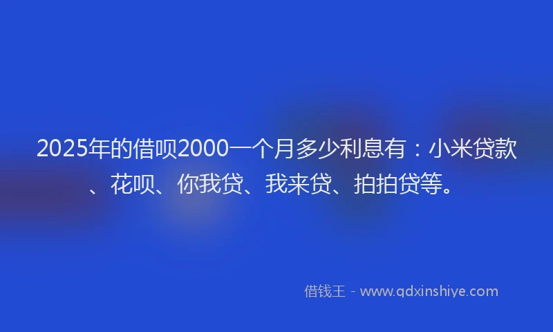 2025年的借呗2000一个月多少利息有：小米贷款、花呗、你我贷、我来贷、拍拍贷等。