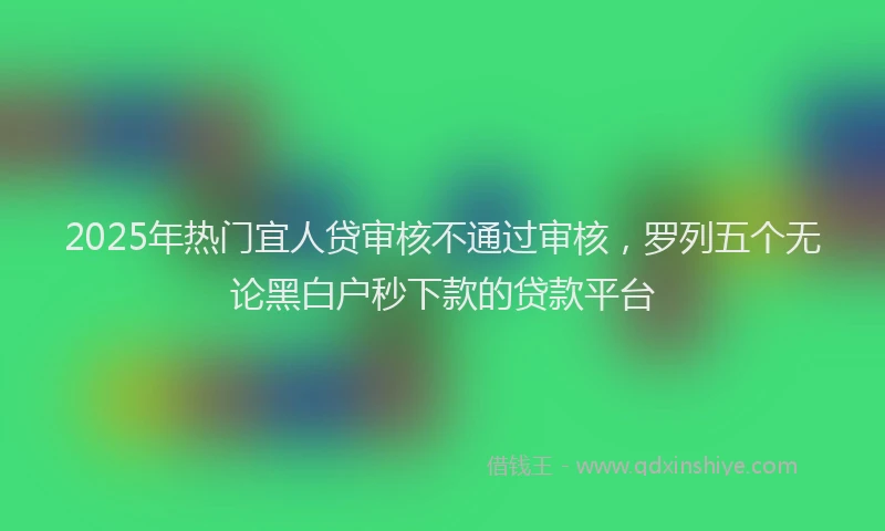2025年热门宜人贷审核不通过审核，罗列五个无论黑白户秒下款的贷款平台