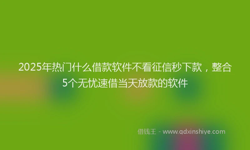 2025年热门什么借款软件不看征信秒下款，整合5个无忧速借当天放款的软件