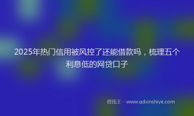 2025年热门信用被风控了还能借款吗，梳理五个利息低的网贷口子