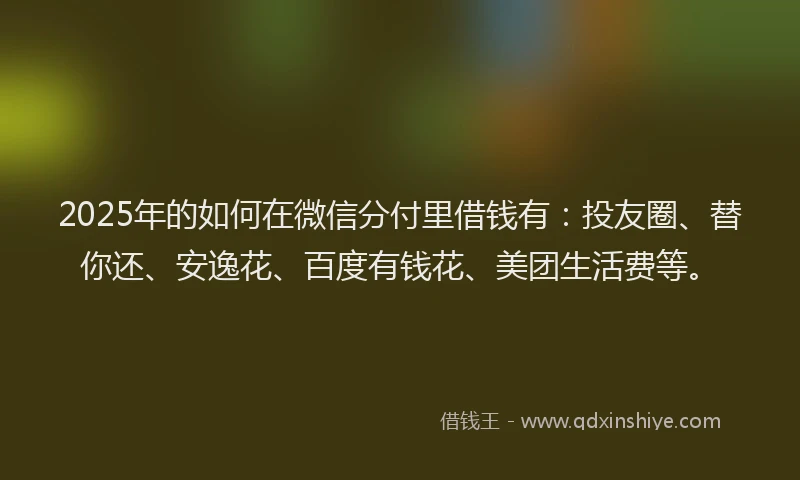 2025年的如何在微信分付里借钱有：投友圈、替你还、安逸花、百度有钱花、美团生活费等。
