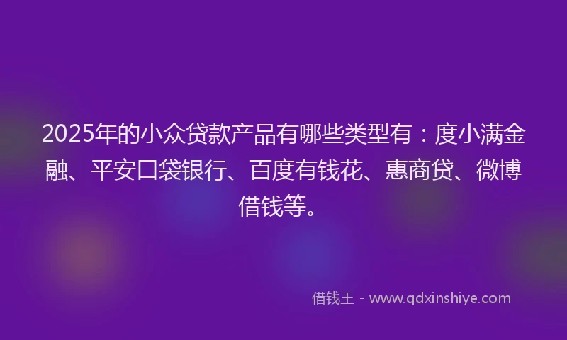 2025年的小众贷款产品有哪些类型有：度小满金融、平安口袋银行、百度有钱花、惠商贷、微博借钱等。