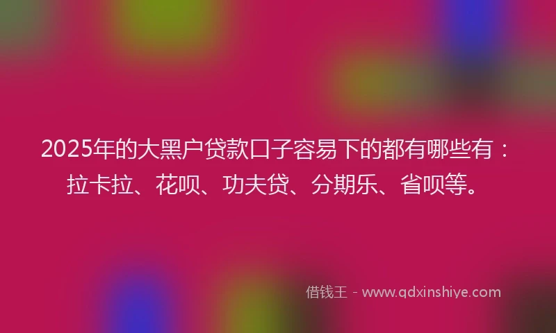2025年的大黑户贷款口子容易下的都有哪些有：拉卡拉、花呗、功夫贷、分期乐、省呗等。