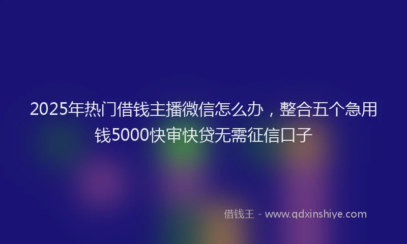 2025年热门借钱主播微信怎么办，整合五个急用钱5000快审快贷无需征信口子